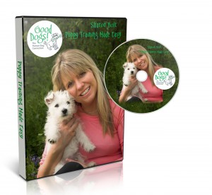 Puppy Potty Training How to House Train Your Puppy or Dog the Easy Way ...